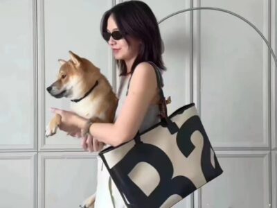 Gleam Tote Bag