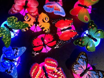 Butterfly Wall Sticker